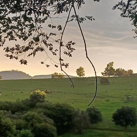 Little Fields Country House And Cottages Howick Kültér fotó