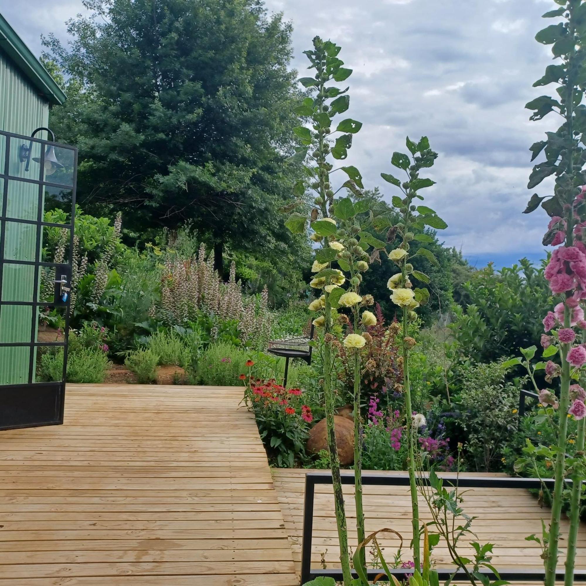 Little Fields Country House And Cottages Howick Kültér fotó