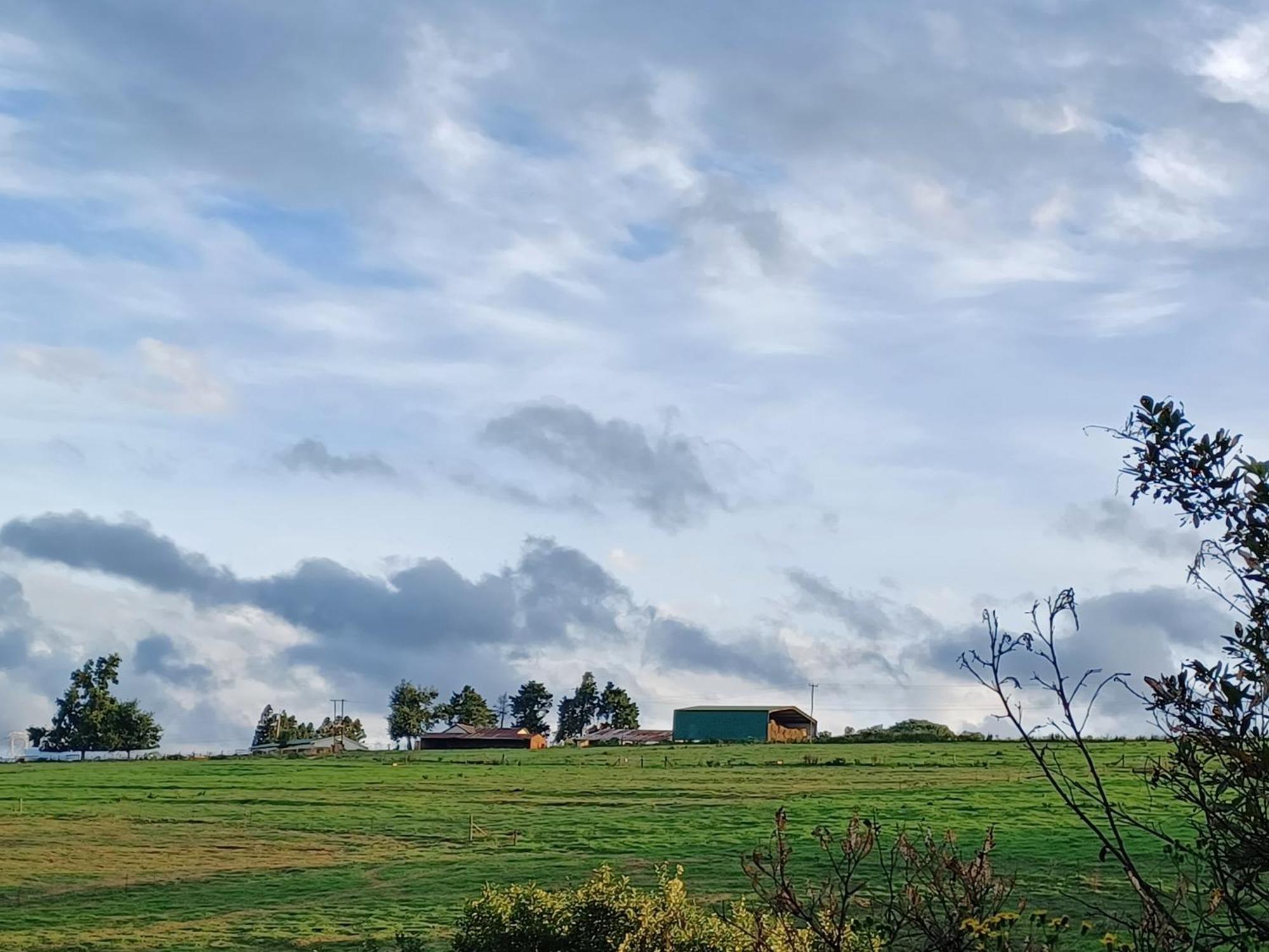 Little Fields Country House And Cottages Howick Kültér fotó