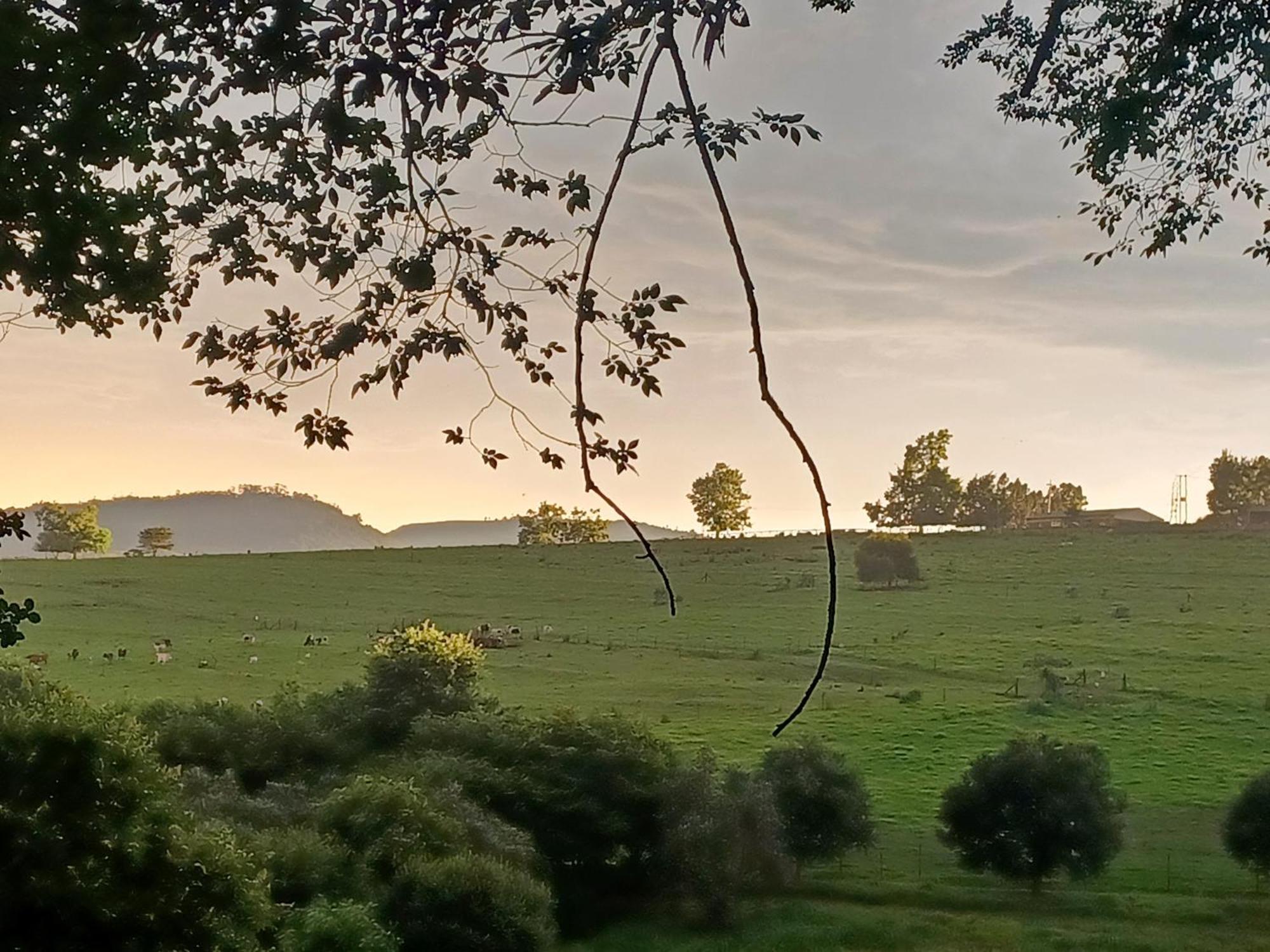 Little Fields Country House And Cottages Howick Kültér fotó